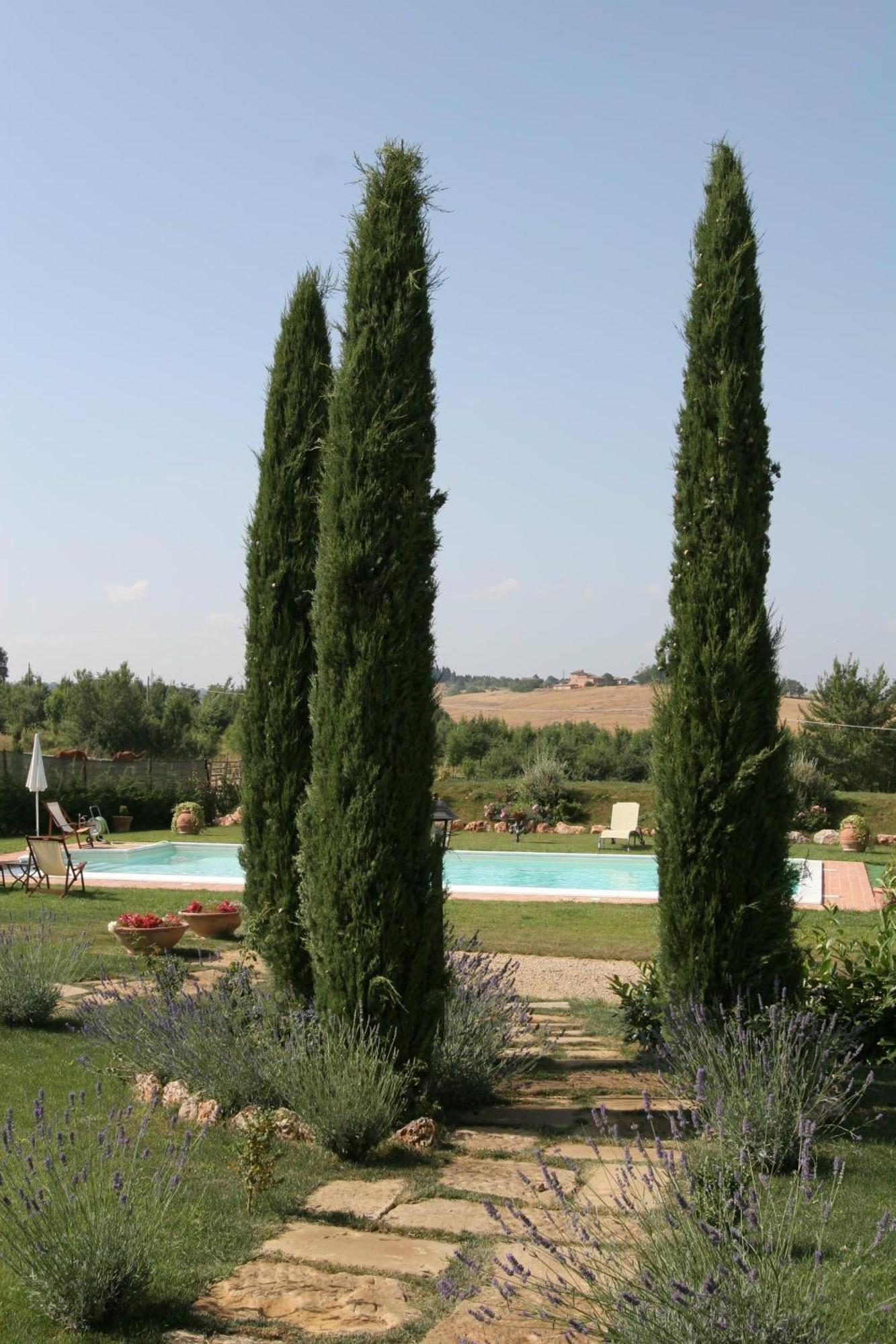 Agriturismo Renaccino Siena Ngoại thất bức ảnh